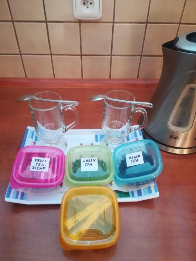 קרלובי וארי B&B Violet מראה חיצוני תמונה